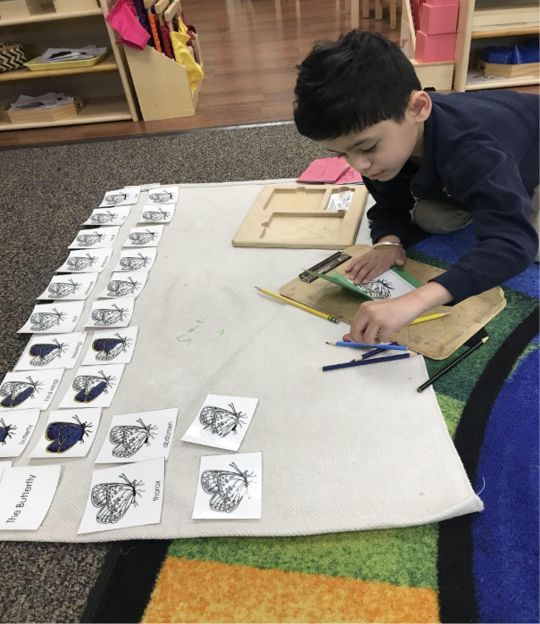 Kid drawing butterflies